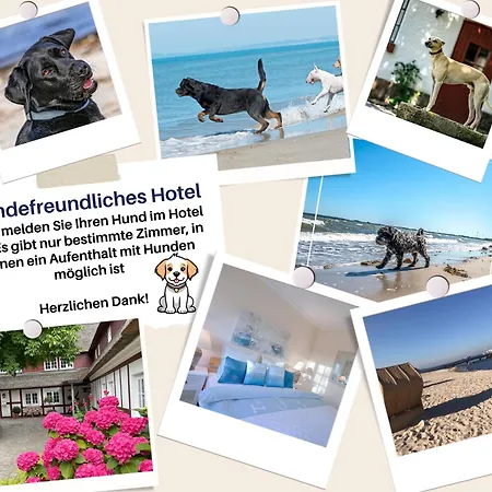 Hof Norderlueck - Ostseehotel Unter Reet Szálloda